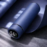 500ml Thermos Stainless steel tumbler insulated water bottle cute coffee thermos cup LED Touch Display Temperature Vacuum Flasks Drinkware smart hot color Blued4b58383e8884d46449b535564d74b65