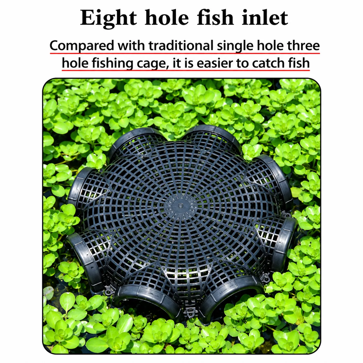 Fish Net Cage for Fishing, Fish Farming, and Catching Small Fish in Ponds, Rivers, and Lakes.