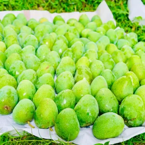 গোপাল ভোগ আম - 20KG -2300TK