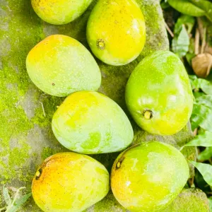 গোপাল ভোগ আম - 20KG -2300TK