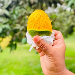 রাজশাহীর বিখ্যাত গোপাল ভোগ আম   - 10KG -1200tk