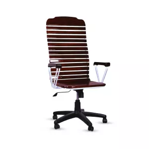 Tanin TN-CH-200 AB Wooden Office Chair 2024