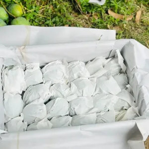 HIMSAGOR আম - 10kg -1200Tk