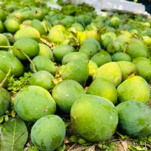 HIMSAGOR আম - 10kg -1200Tk