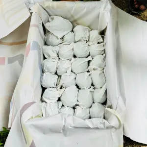HIMSAGOR আম - 20Kg -2300Tk