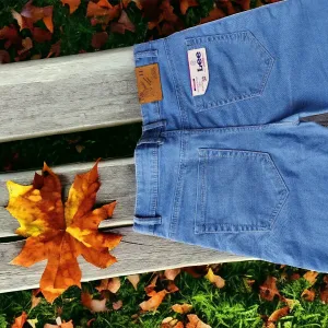 Lee Jeans Light Blue Wash