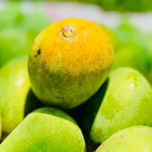 গোপাল ভোগ আম - 20KG -2300TK